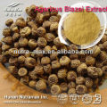 Natural Agaricus Subrufescens Peck Extract Powder 10%-40% Polysaccharides High Quality Low Price Improve Immune System